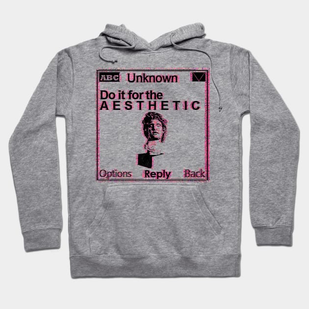 Do it for the aesthetic Hoodie by VisualTrashN'Treasure